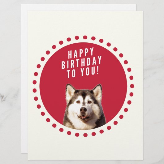Lettre À En-tête Chatte Sibérien Husky Chien Joyeux Anniversaire (Devant / Derrière)