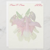 Lettre À En-tête Colonne cultivée En-tête Jaune (Devant / Derrière)