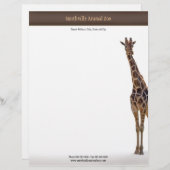 Lettre À En-tête En-tête (Devant / Derrière)