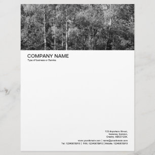Lettre À En-tête En-tête de grande image - Silver Birch