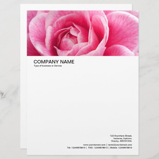 Lettre À En-tête En-tête grande image - Camelia rose (Devant / Derrière)