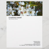 Lettre À En-tête En-tête grande image - Fleur cerise 02 (Devant)