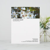 Lettre À En-tête En-tête grande image - Fleur cerise 02 (Debout devant)