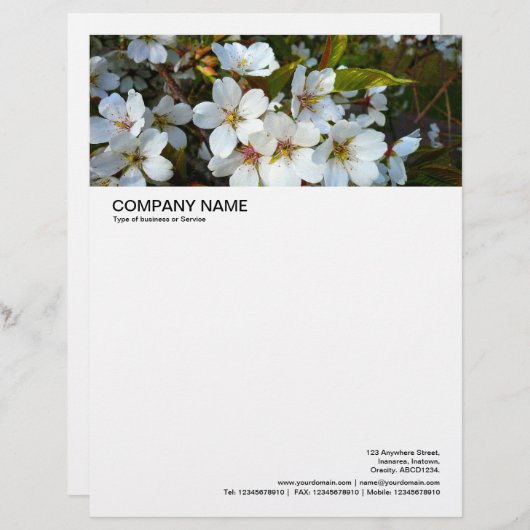 Lettre À En-tête En-tête grande image - Fleur cerise 02 (Devant / Derrière)