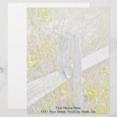 Lettre À En-tête En-tête IBSP pour clôture et poison Ivy (Devant / Derrière)