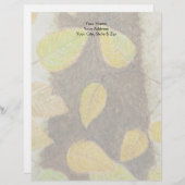 Lettre À En-tête Feuilles hêtre (Devant / Derrière)