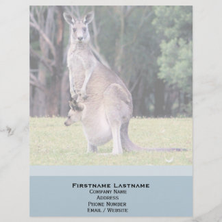 Lettre À En-tête Mère Kangaroo avec bébé Joey dans sa poche