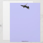 LETTRE À EN-TÊTE TÊTE-LETTRE DEUX BALD EAGLES DE COMBAT (Devant / Derrière)