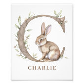 Lettre alphabet animal C Enfants Nom Bunny Poster (Devant)