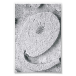 LETTRE Alphabet Photographie E4 Noir et Blanc 4x6