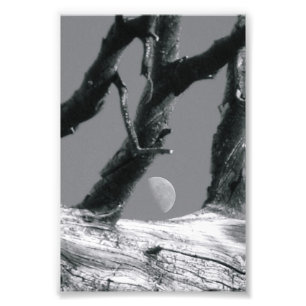 LETTRE Alphabet Photographie M7 noir et blanc 4x6