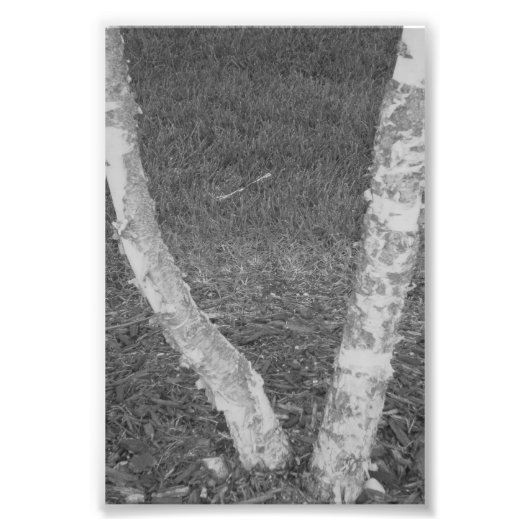 LETTRE Alphabet Photographie V3 Noir et Blanc 4x6 (Devant)