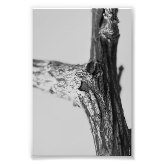 Lettre alphabet Photographie Y8 Noir et blanc 4x6 (Devant)