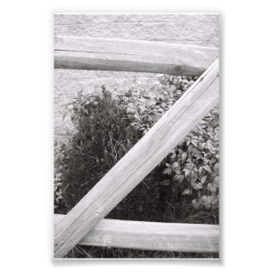 LETTRE Alphabet Photographie Z2 noir et blanc 4x6