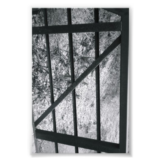 LETTRE Alphabet Photographie Z4 noir et blanc 4x6 (Devant)