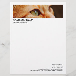 Lettre Bordure de 2 en-tête 1/2 pouces - Chat