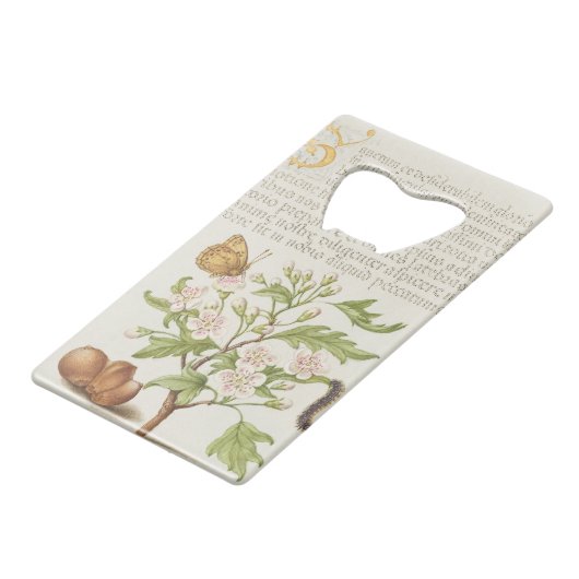 Lettre d'or S Insect, Anglais Hawthorn (Devant Angle)