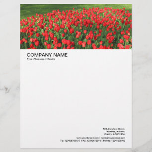 Lettre Personnalisée En-tête grande image - Lit de Rouges Tulipes 02