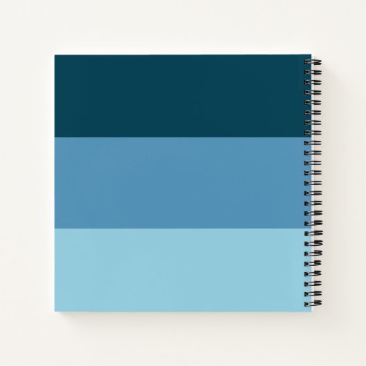 Lettres à Mon fils Keepsaké Journal (Dos)