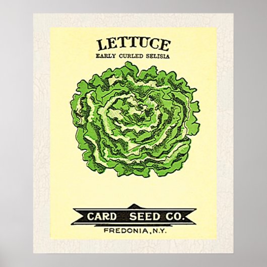 Lettuce Kaart Seed Company Poster (Voorkant)