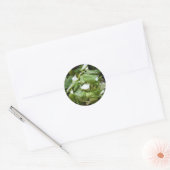Lettuce Salad Ronde Sticker (Envelop)