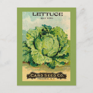 Lettuce Seed Pack Briefkaart