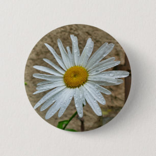 Leucanthemum Bloom Badge Ronde Button 5,7 Cm