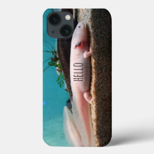 Leucistic Axolotl iPhone 13 Hoesje