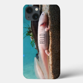 Leucistic Axolotl iPhone 13 Hoesje