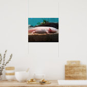 Leucistic Axolotl Poster (Keuken)