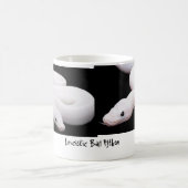 Leucistic Ball Python Mok (Center)