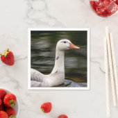 Leucistic Canadian Goose Servetten (Insitu)