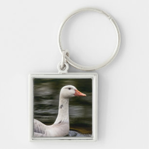 Leucistic Canadian Goose Sleutelhanger