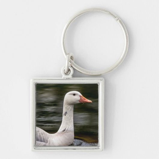 Leucistic Canadian Goose Sleutelhanger (Voorkant)