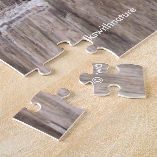 Leucistic Spotted Towee Sparrow Songbird on Stump Legpuzzel (Zijkant)