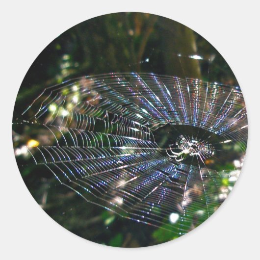 Leugauge Orb Web Stickers (Voorkant)