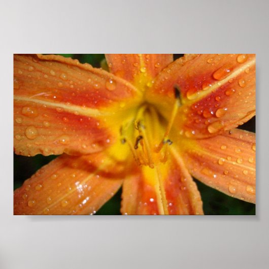 leugenachtig poster (Voorkant)