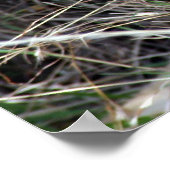 leugenachtigheid poster (Hoek)