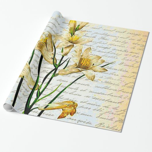 leugens en script cadeaupapier (Uitgerold)