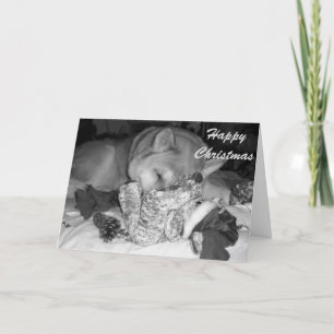 Leuk akitahond in slaap geknuffelspeelgoed voor feestdagen kaart