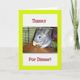Leuk Bedankt Voor Het Diner met Chinchilla Eten