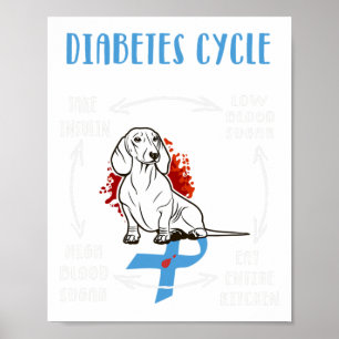 Leuk Dachshund Diabetische Levenscyclus Diabetes A Poster