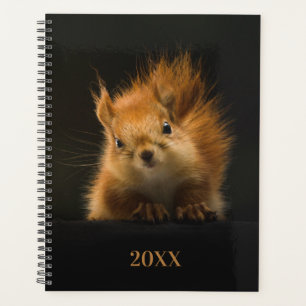 Leuk eekhoornjaar planner