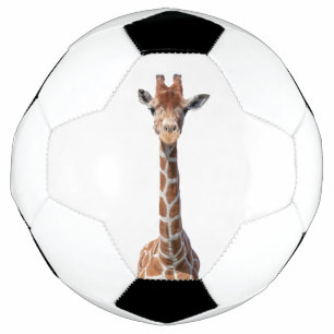 Leuk girafgezicht voetbal