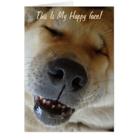 leuk grappig lachend liefdehond (Voorkant)