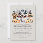 Leuk Halloween Kostuum Feest Kaart (Voorkant)