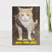 Leuk ouder dan Dirt BD Kaart (Voorkant)