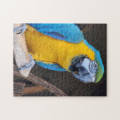 Leuk! Puzzel - Blauw-en-gele ara (Horizontaal)