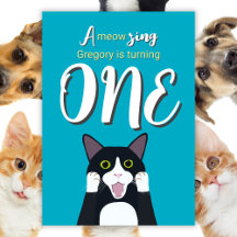 Leuke 1e verjaardag Schattige Verrast Tuxedo Cat