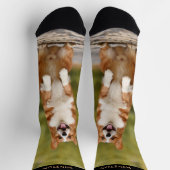 Leuke aangepaste naam en huisdier foto sokken (Top)